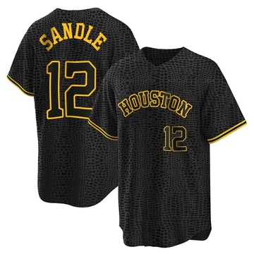 Replica Michael Sandle Youth Houston Astros Black Snake Skin City Jersey